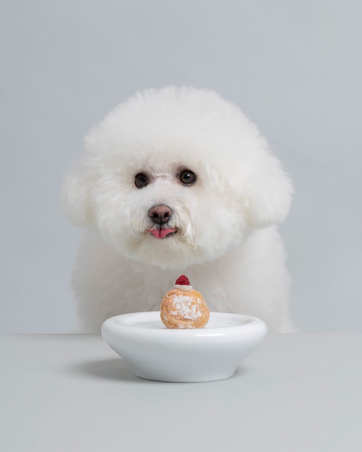 愛犬と過ごす、リュクスな犬グッズ11(ワンワン)選。